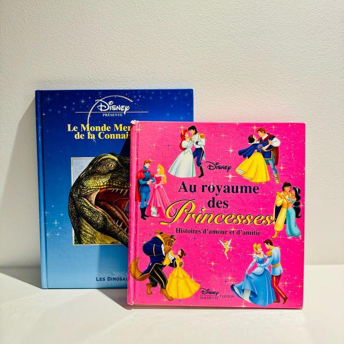 Lot de 2 livres illustrés Disney pour filles et garçons - photo numéro 1