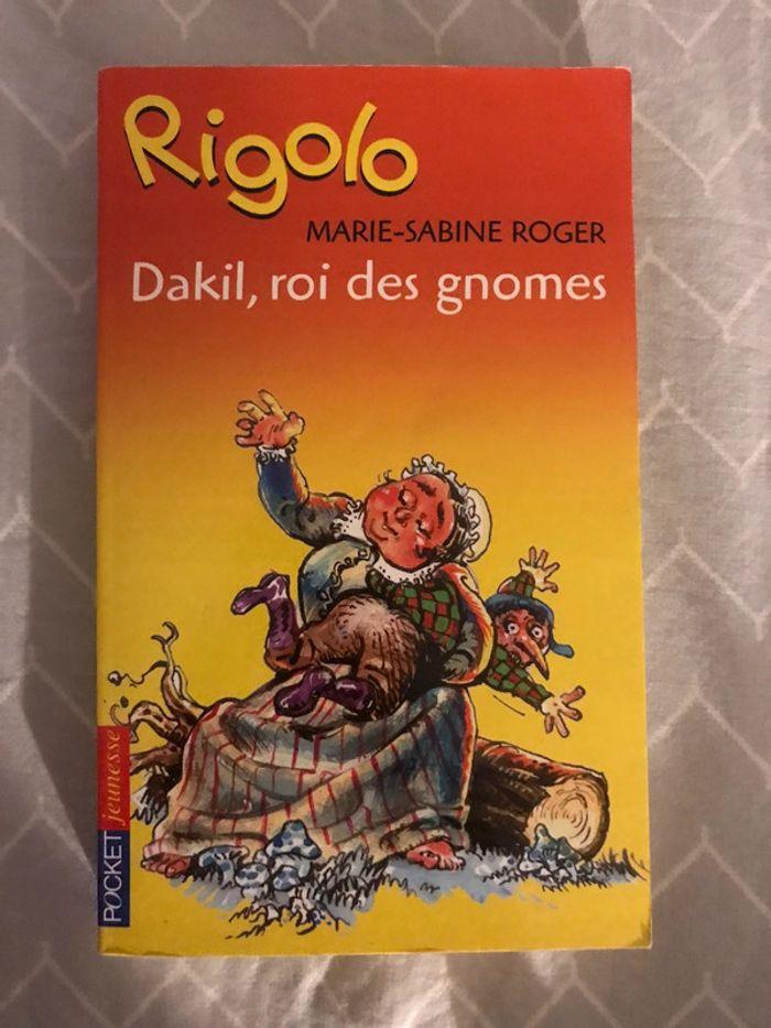 Livre Dakil roi des gnomes - photo numéro 1