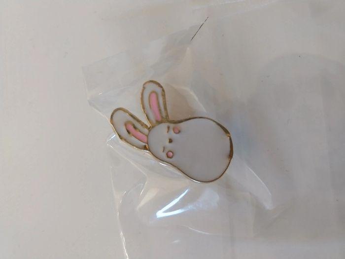 Pin lapin - photo numéro 1