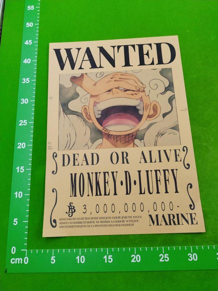 Poster wanted one piece - photo numéro 2