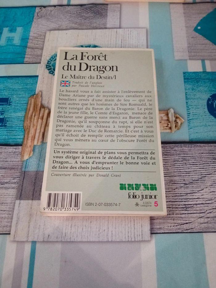 LDVELH la forêt du dragon - photo numéro 2