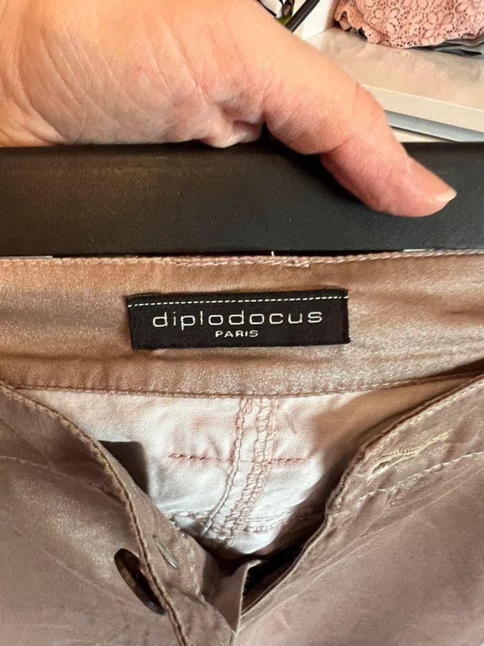 Pantalon diplodocus - photo numéro 3