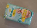 Couches Pampers premium