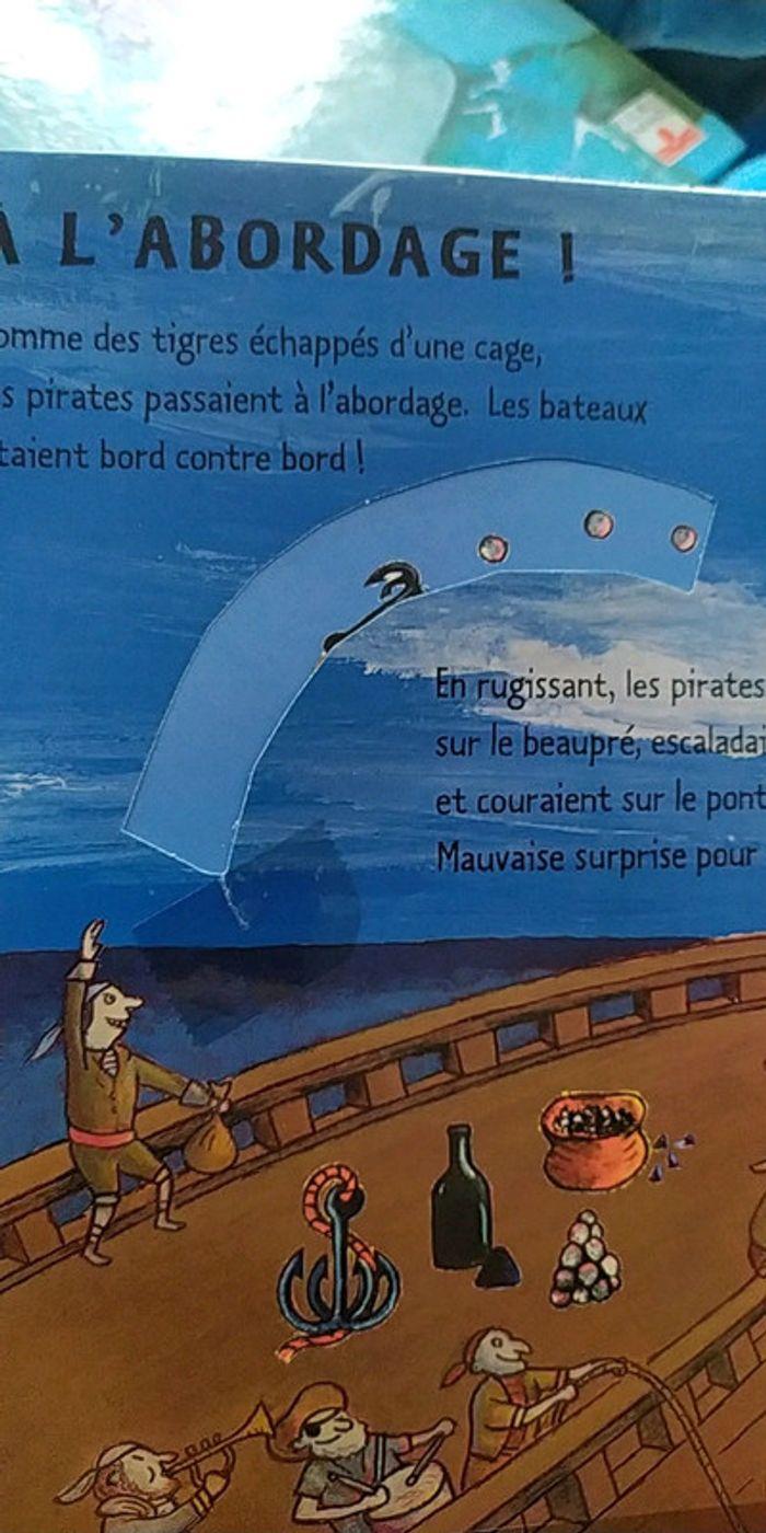 Kididoc : pirates à bord - photo numéro 4