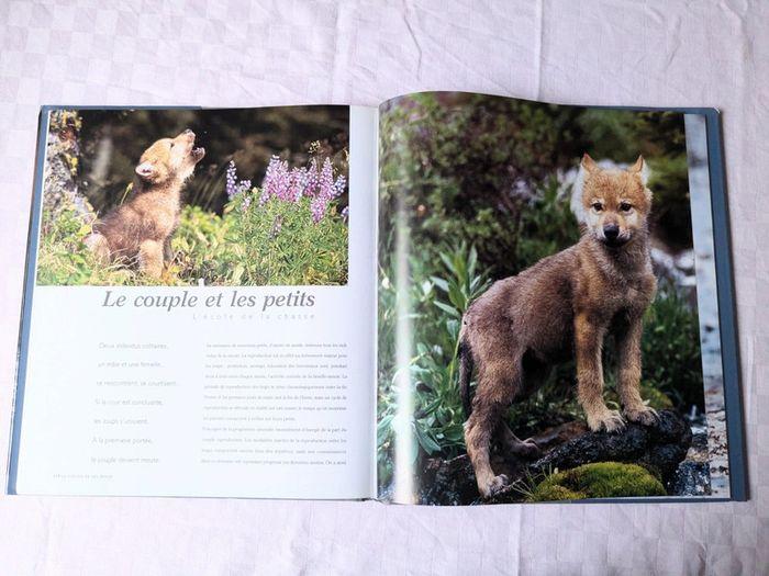 Livre Les loups - photo numéro 3