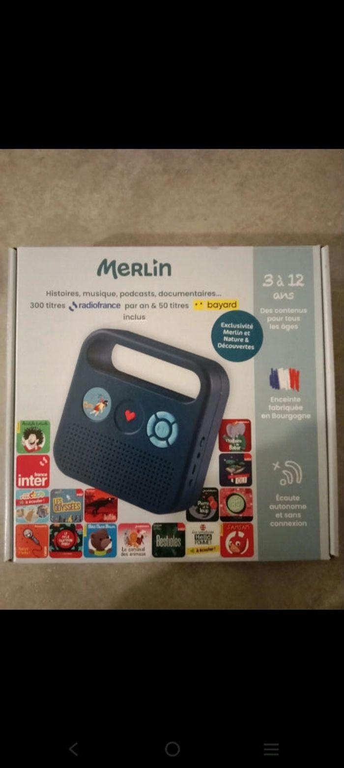 Merlin - photo numéro 1