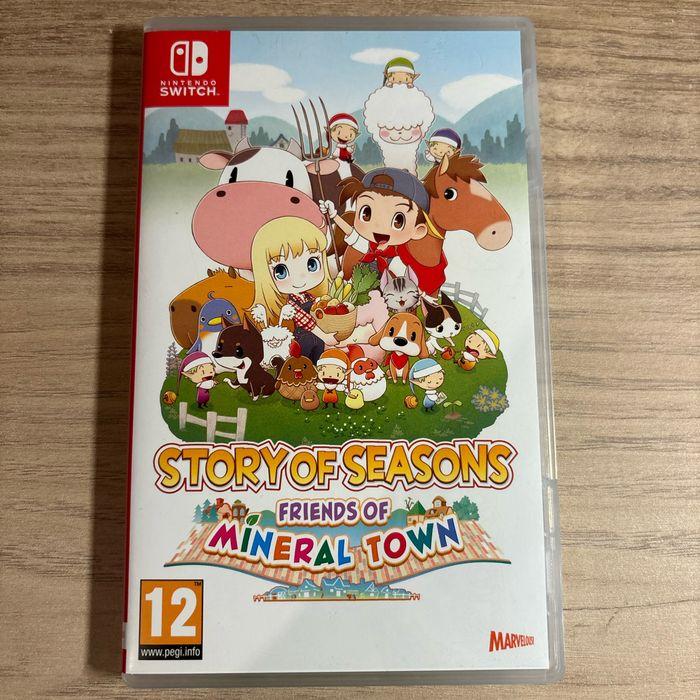 Story of seasons switch - photo numéro 1