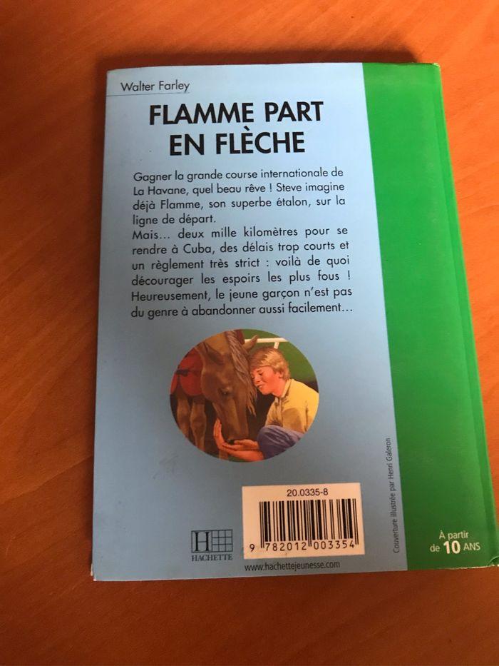 Livre flamme part en flèche - photo numéro 2