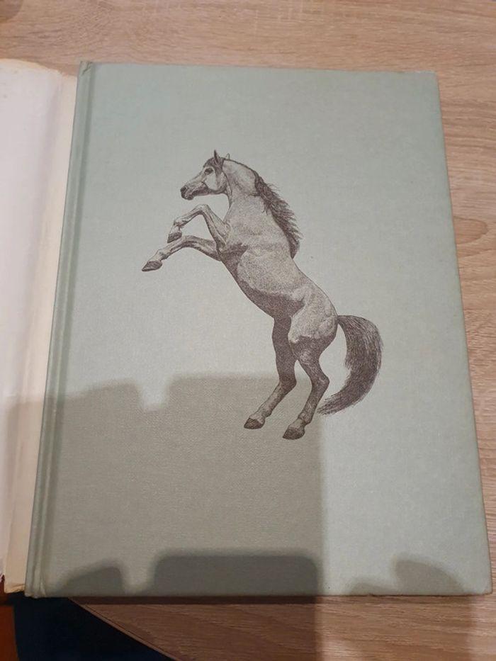 Livre Passion des chevaux - photo numéro 2