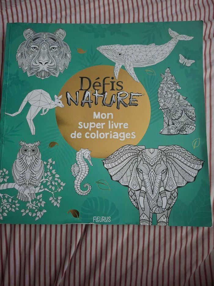 Livre de coloriages - photo numéro 1