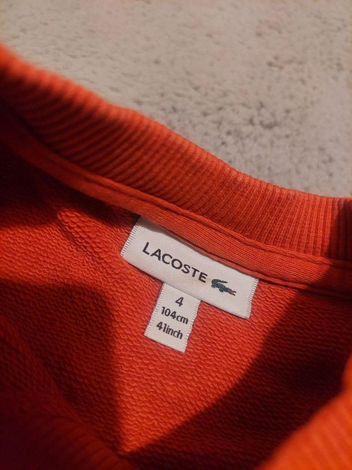 Pull lacoste - photo numéro 3