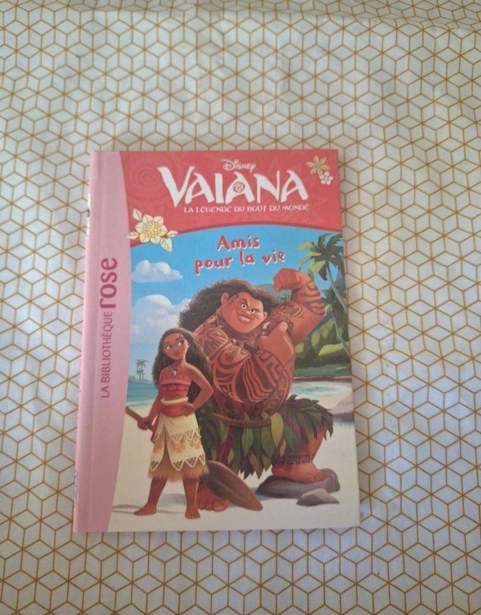 Lot 4 livres vaiana - photo numéro 4