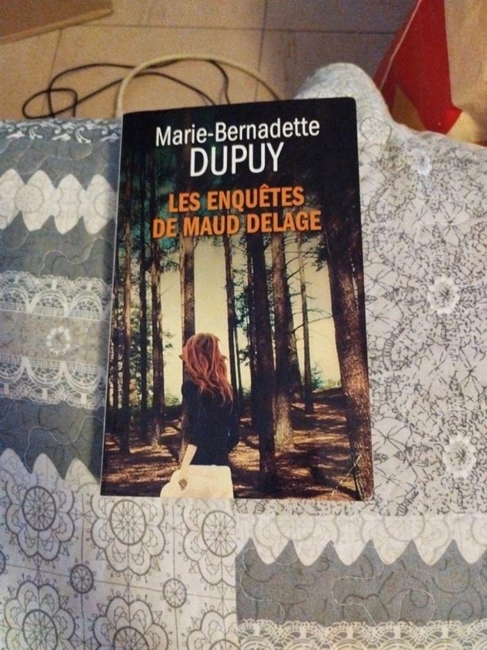 Les enquêtes de maud Delage - photo numéro 4