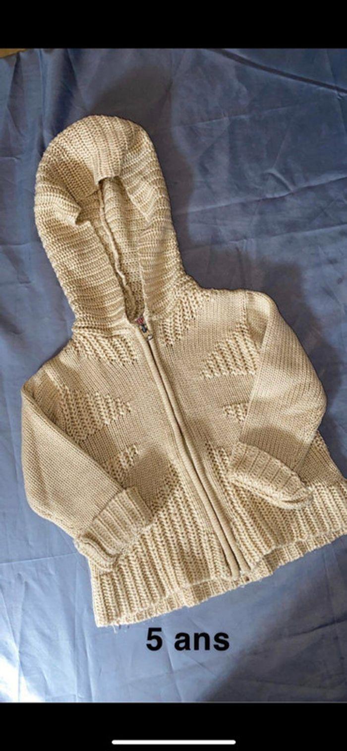 Gilet à capuche