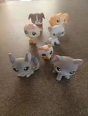 Lot little petshop