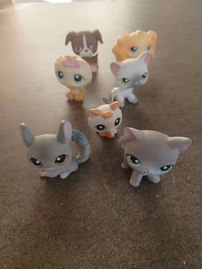 Lot little petshop - photo numéro 1