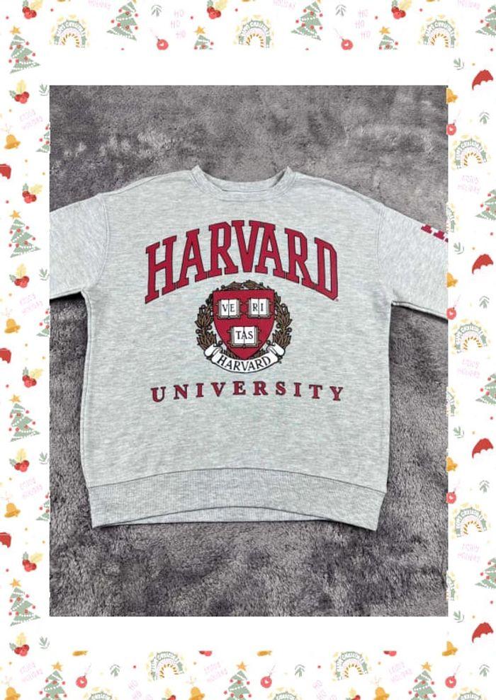 👕 Sweat à capuche Veste University Rare Vintage y2k 90s 2000s Harvard Gris Taille S 👕 - photo numéro 6