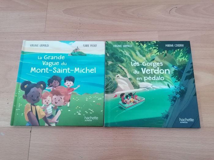 Lot de 2 livres saint michel et gorges du verdon