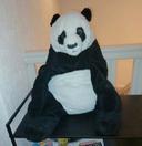 Peluche Panda