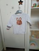 Pull lapin