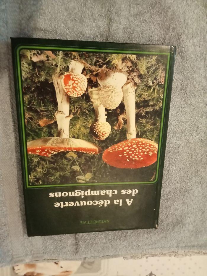 Livre champignons - photo numéro 1