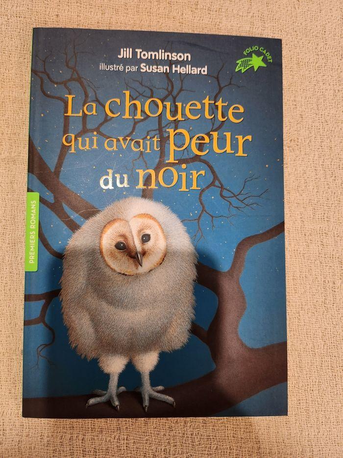 Livre la chouette qui avait peur du noir - photo numéro 1