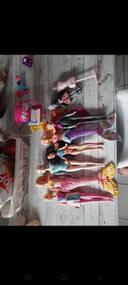 Lot de barbies