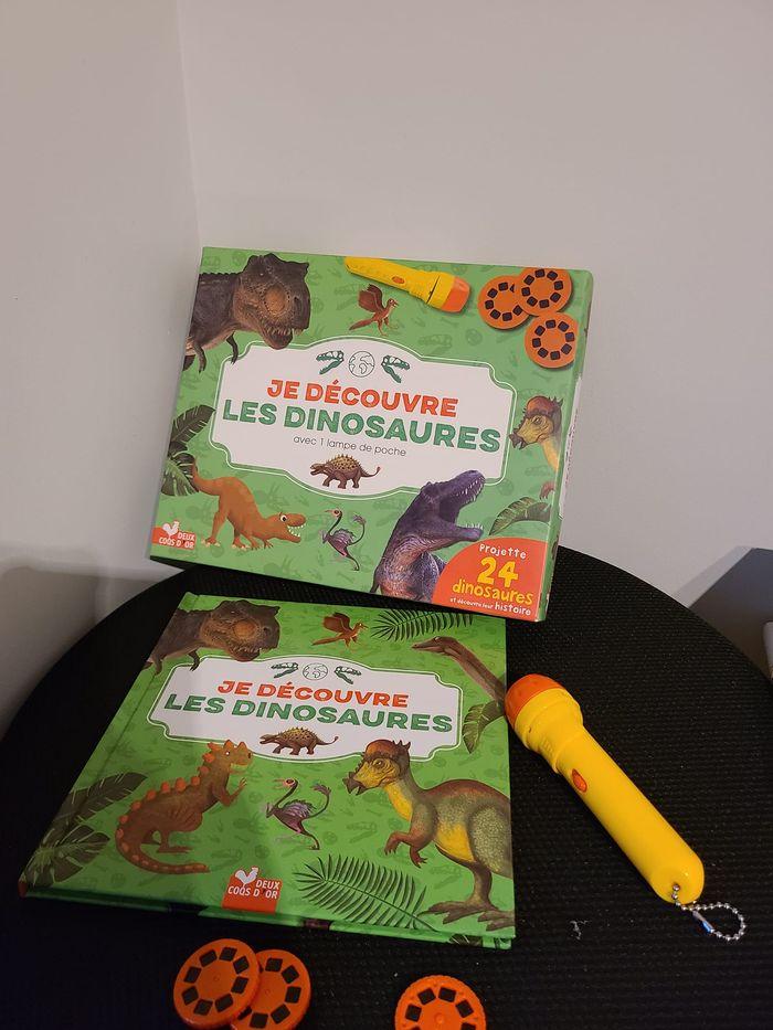 jeu dinosaures - photo numéro 3