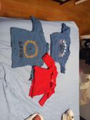 Lots 1 pull avec 2 tee-shirt manches longues