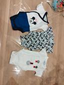 Lot de 3 bodies manches courtes