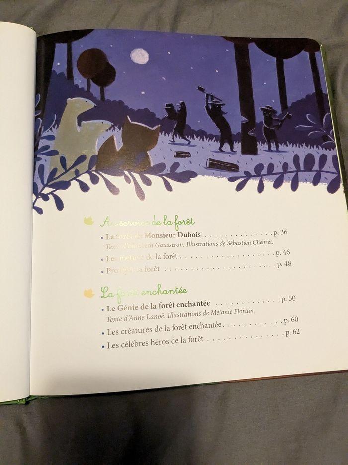 Livre la forêt - photo numéro 4