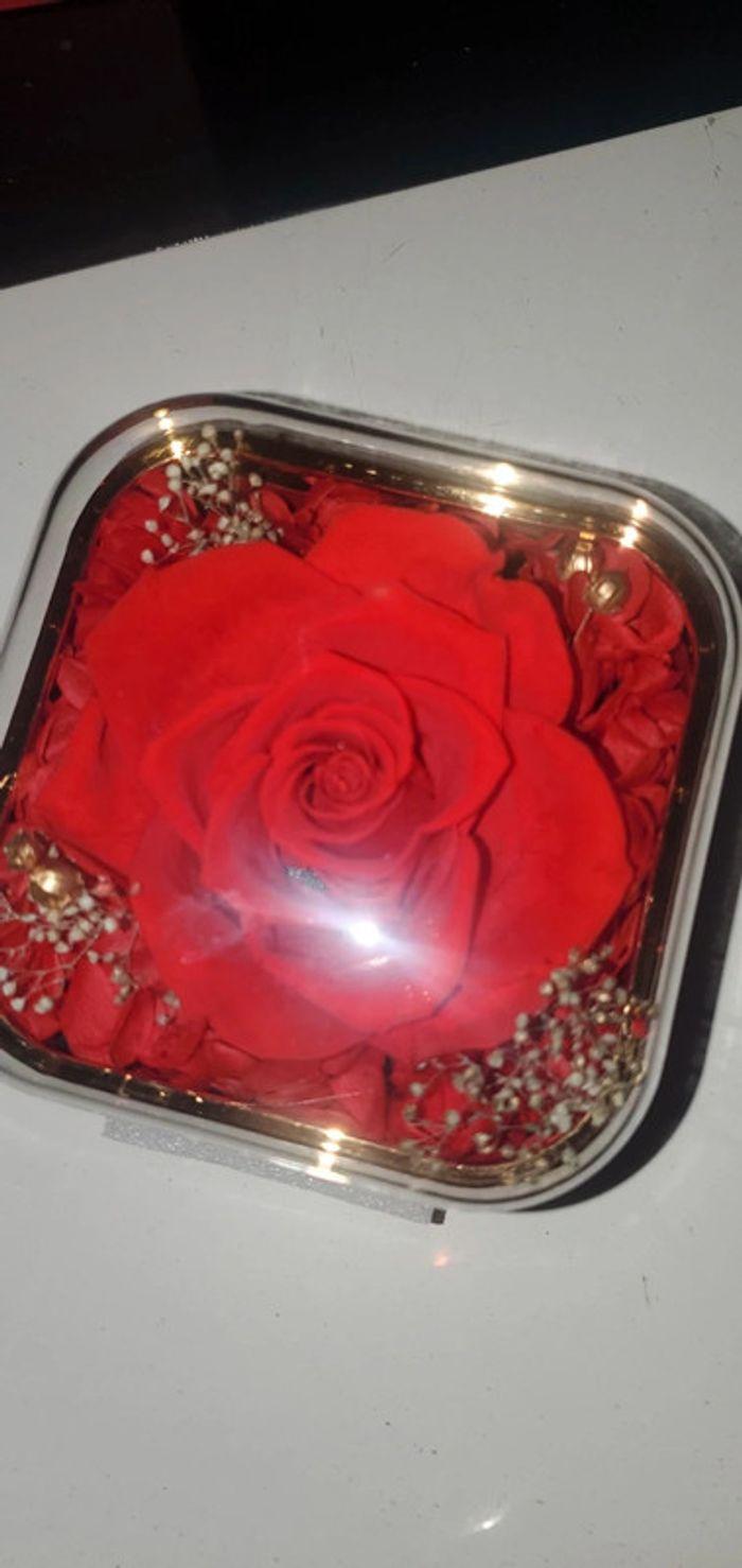 Coffret rose Eternelle avec bijoux pour femme - photo numéro 8