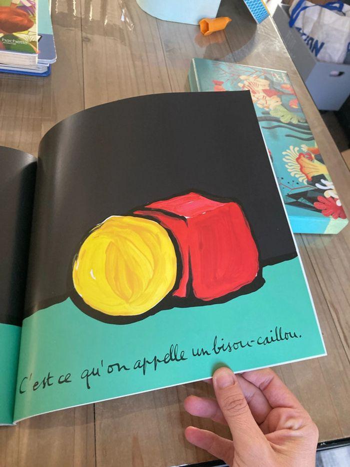 Livre amour-caillou de Grégoire Solotareff - photo numéro 3