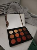 Palette mac flame boyant