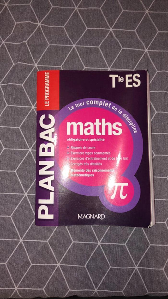 Plan bac maths ES - photo numéro 1