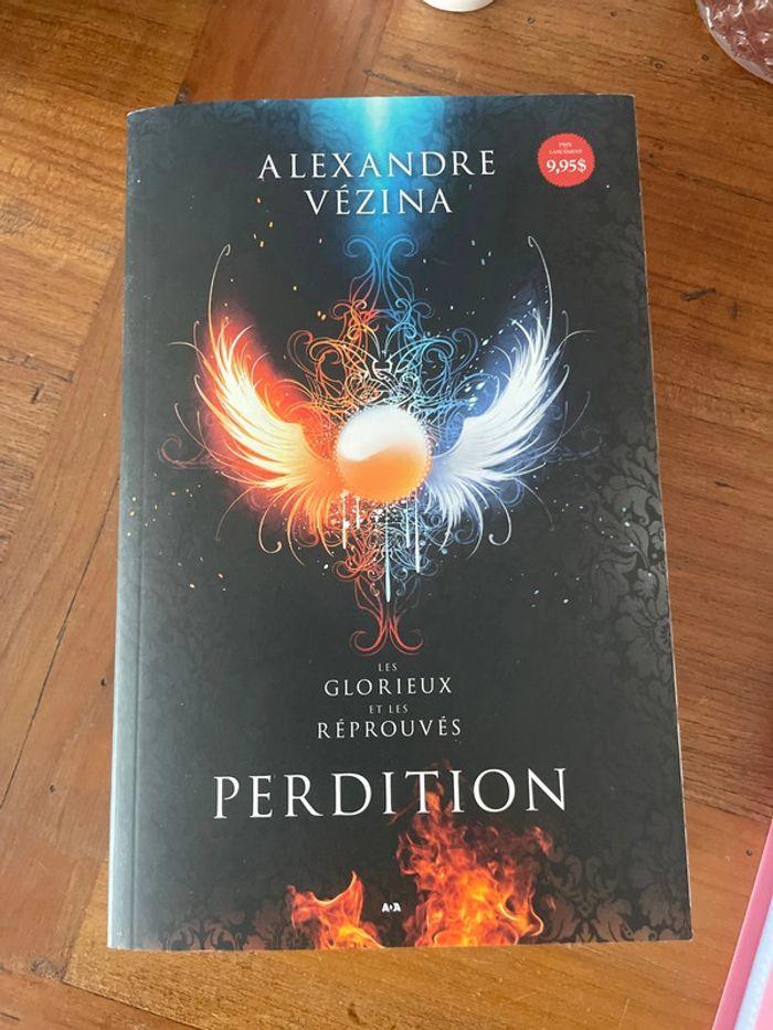 Livre Perdition de Alexandre Vezina - photo numéro 4