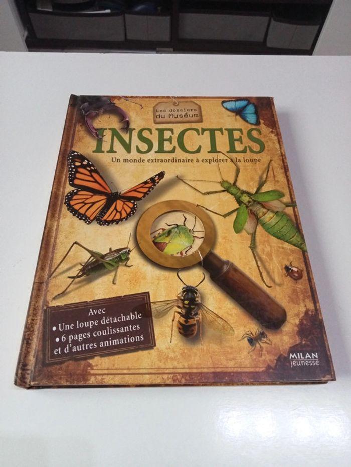 Insectes vendu sans loupe - photo numéro 1