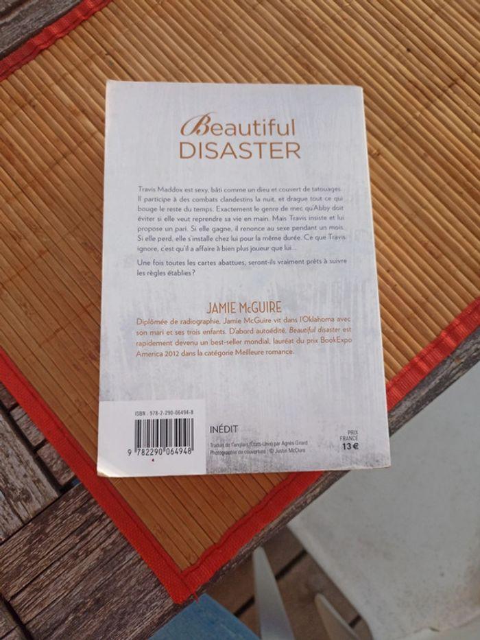 Beautiful disaster - photo numéro 2