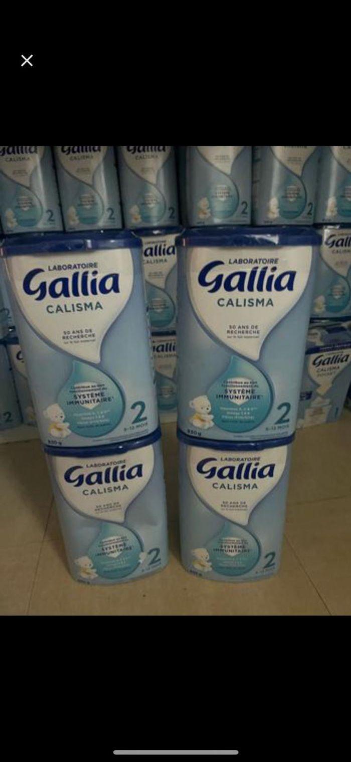 Gallia - photo numéro 6