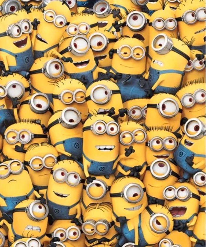 Lot poster minions et deux figurines - photo numéro 8