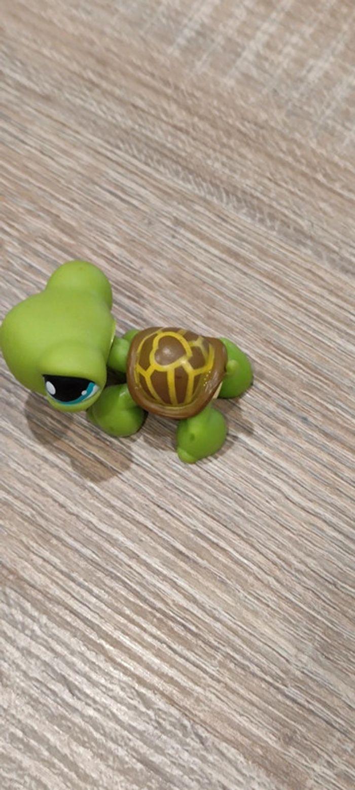 Tortue Littlest Pet Shop - photo numéro 2