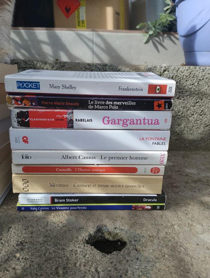 Lot livres classiques - photo numéro 2