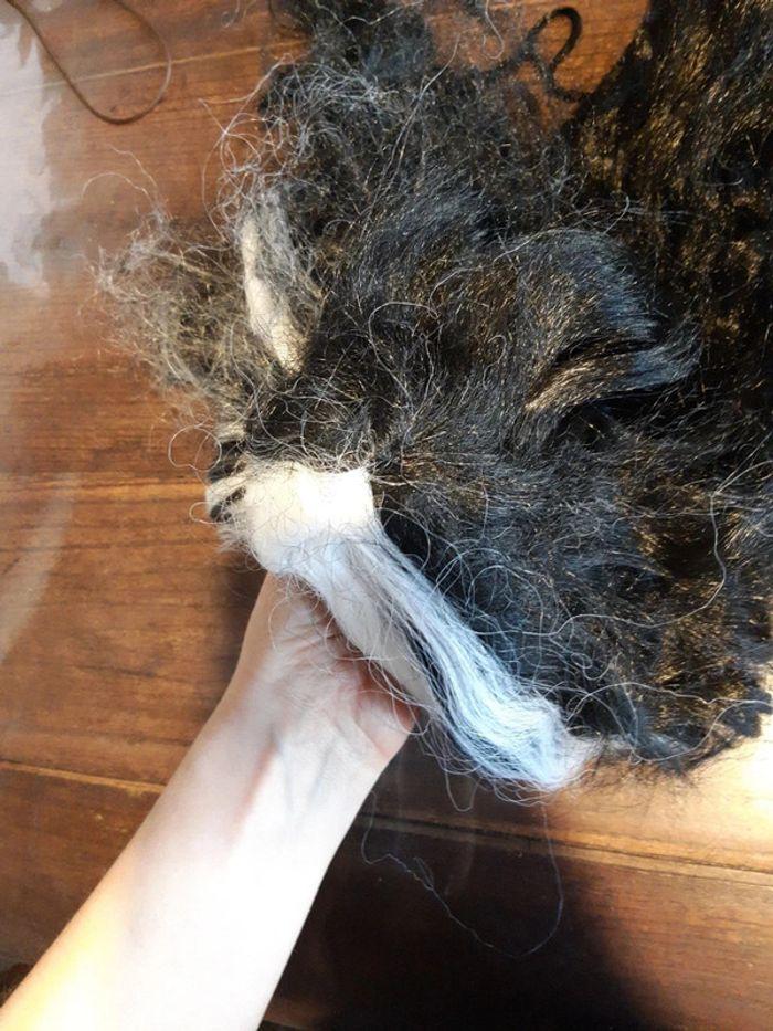 Perruque de sorcière  cheveux long noire et blanche  avec résille élastique - photo numéro 16