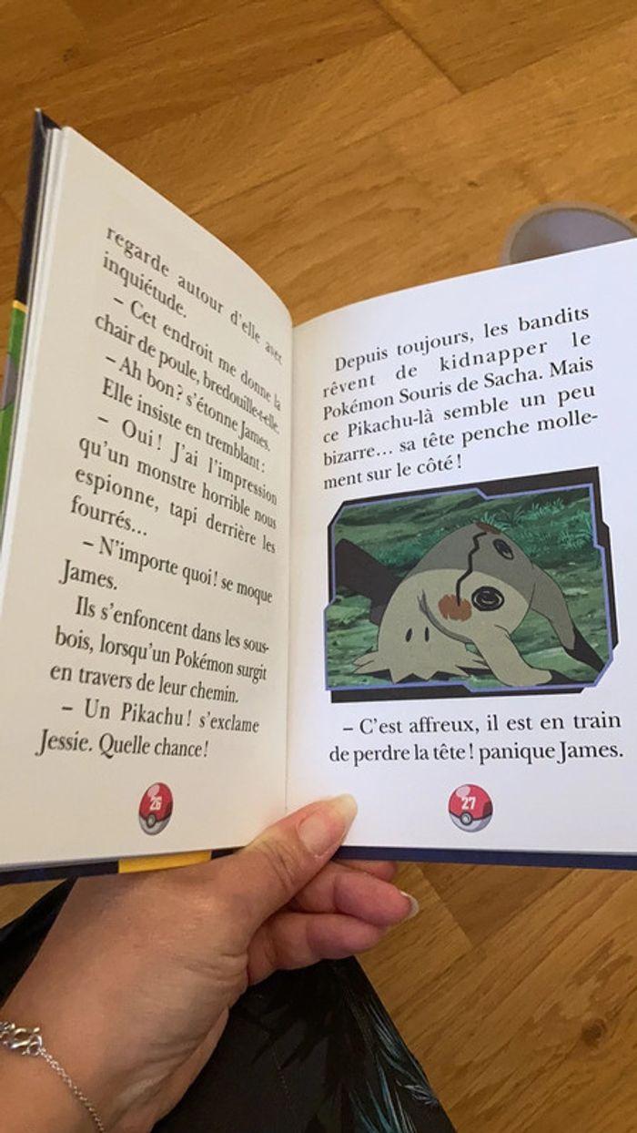 Livre pokemon - photo numéro 2