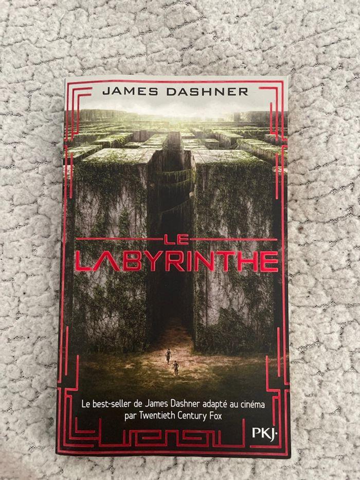 Livre Le Labyrinthe tome 1 de James Dashner - photo numéro 1