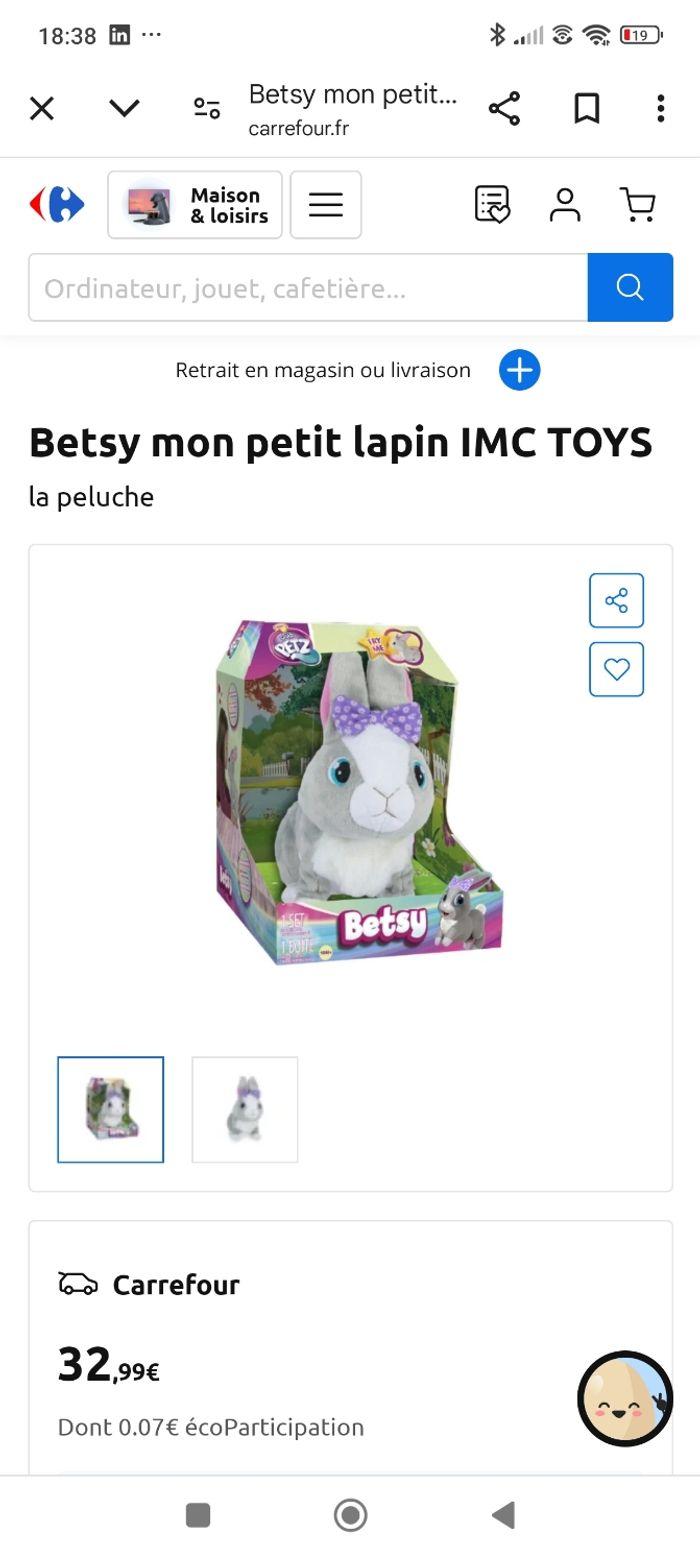 Betsy mon petit lapin - photo numéro 4