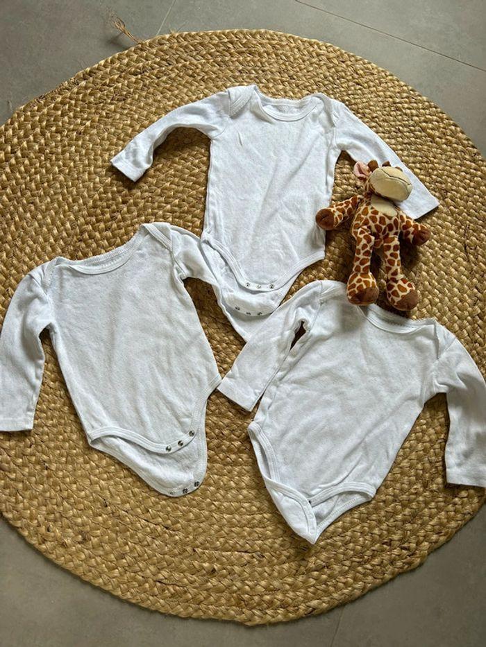 Lot de 3 bodies bébé fille Zeeman - photo numéro 1