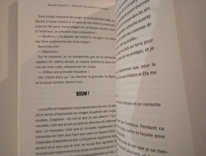 Balade Royale, Tome 3 : Ramener la coupe à la maison - Fortnite - photo numéro 3