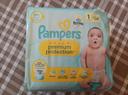 Pampers