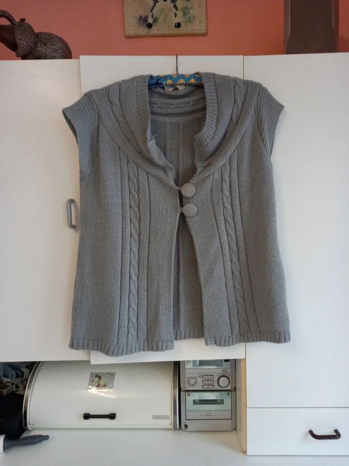 Gilet gris - photo numéro 1